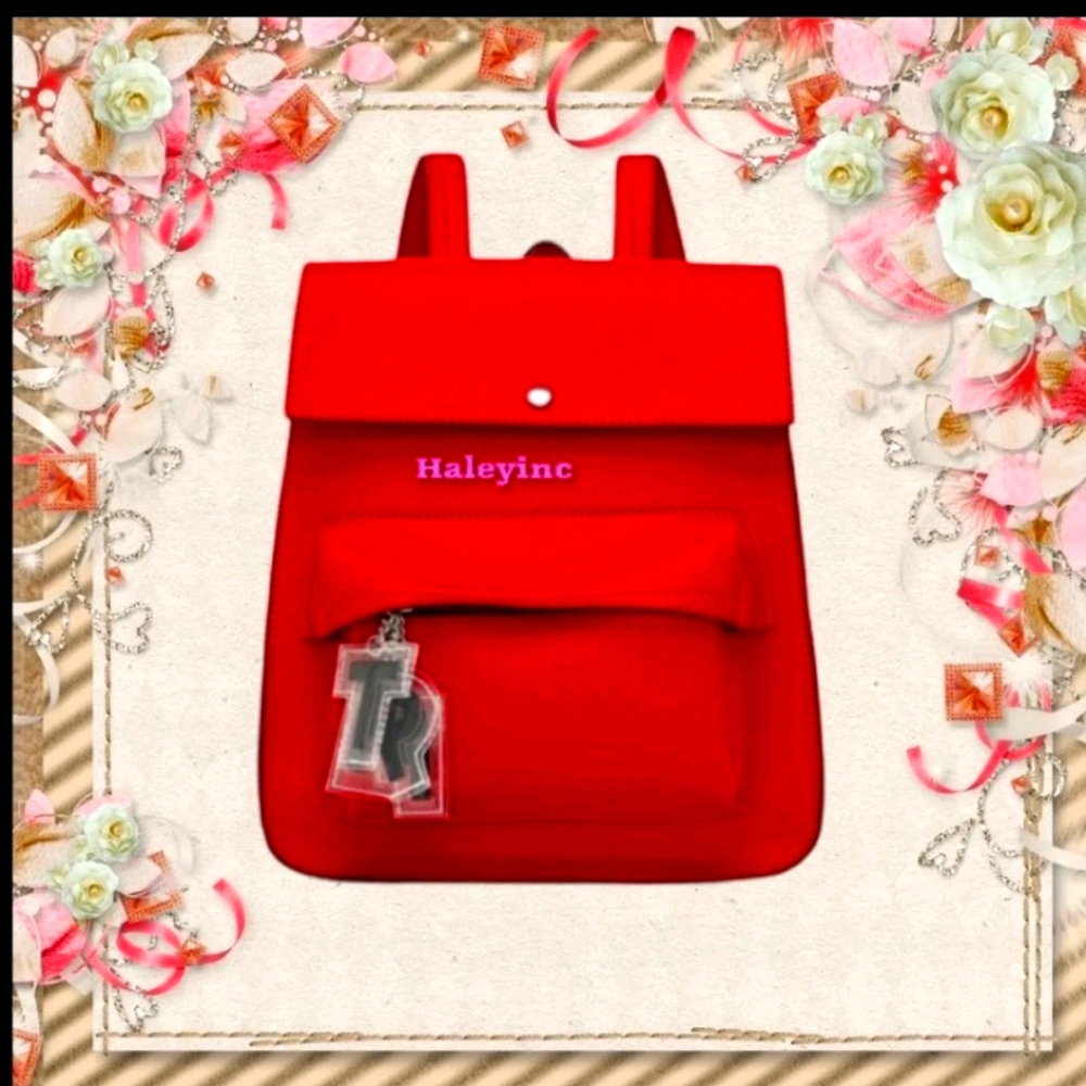 Zara bag